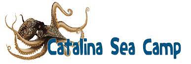 catalina sea camp logo