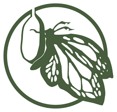 camp chrysalis logo