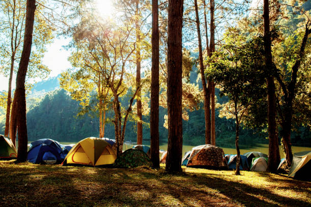 girl scouts camp martha