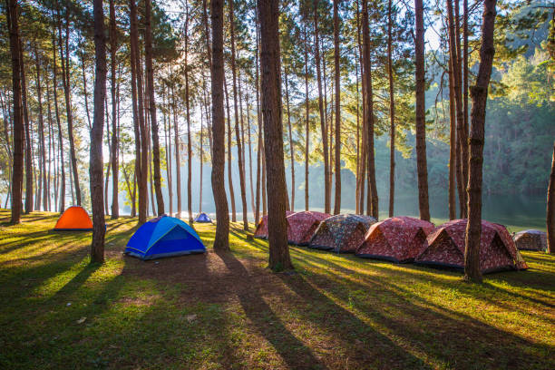 canyon creek summer camp