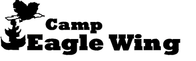 camp eagle wing logo