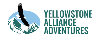 yellowstone alliance adventures logo