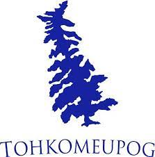 tohkomeupog summer camp logo