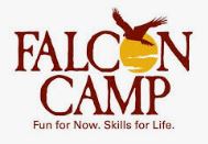 falcon camp logo