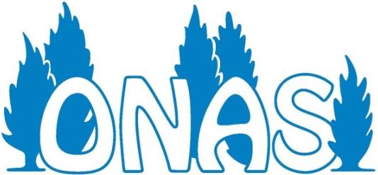 camp onas logo