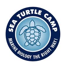 sea turtle camp logo