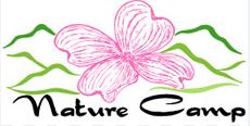 nature camp logo