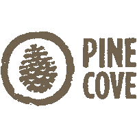 pine cove chimney point summer camp logo